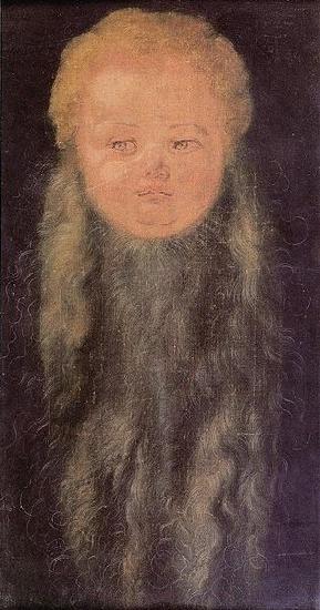 Albrecht Durer Kopf eines bartigen Kindes oil painting image